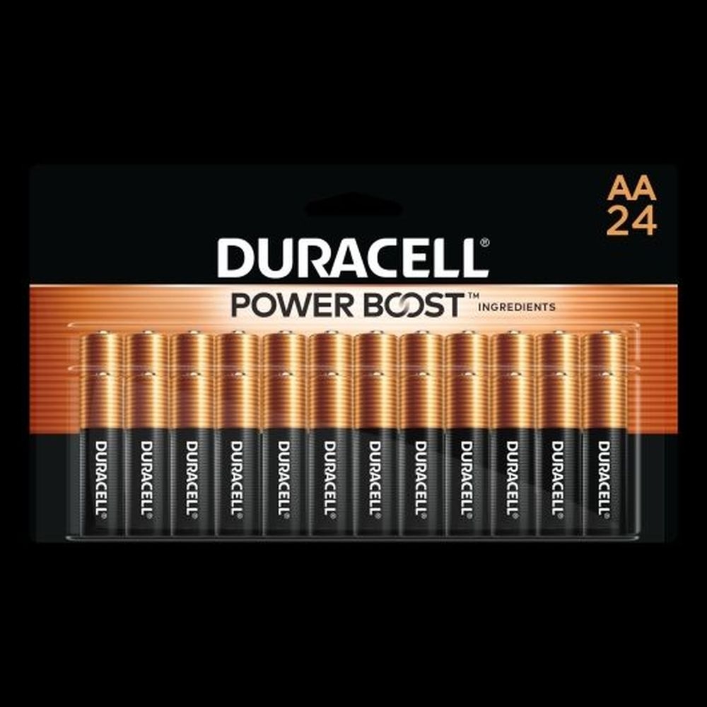 Duracell Coppertop AA Alkaline Batteries, 24 count -- 12 per case