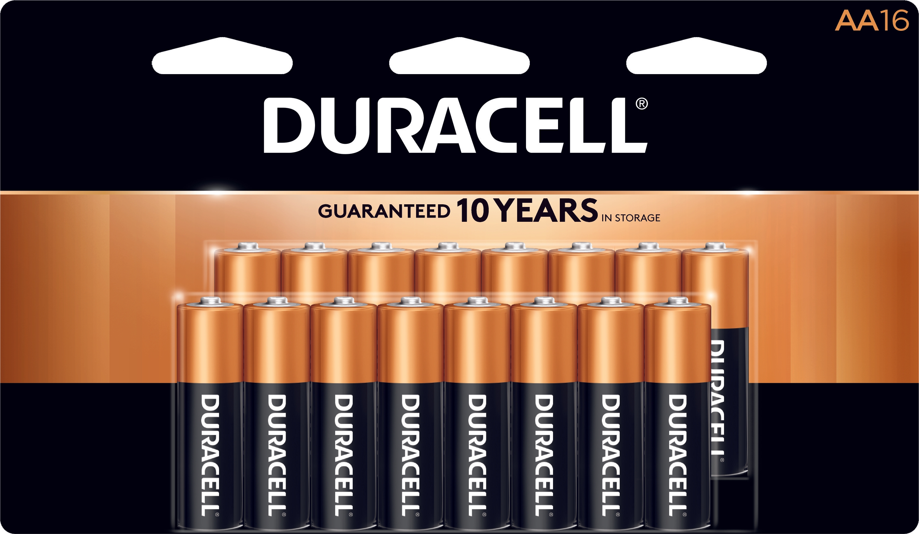 Duracell AA Alkaline Personal Power Batteries, 16 count per pack -- 12 per case.