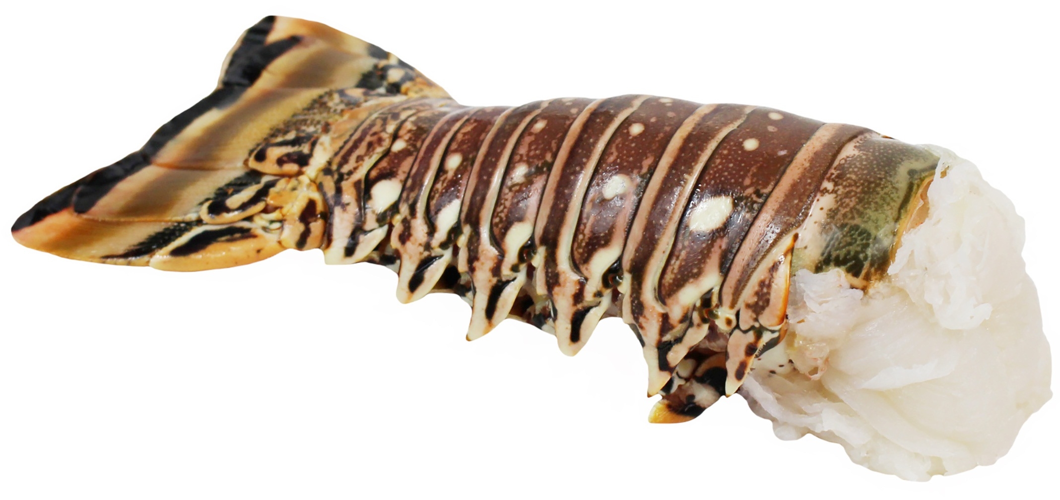 Packers Warm Water 14-16 Ounce Lobster Tail, 10 Pound