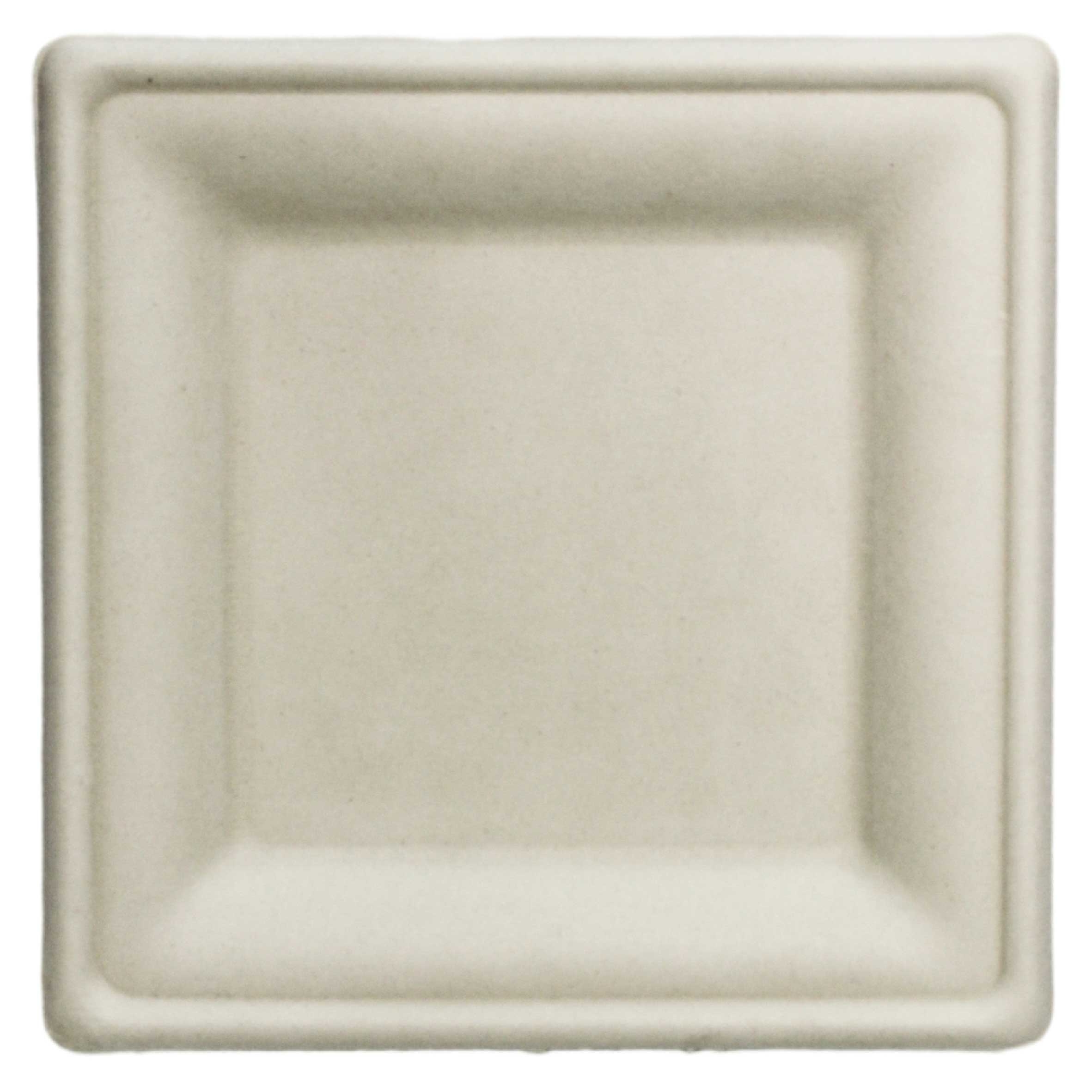 Responsible Products Square Compostable Molded Fiber Plate, 6 x 6 inch -- 1000 per case