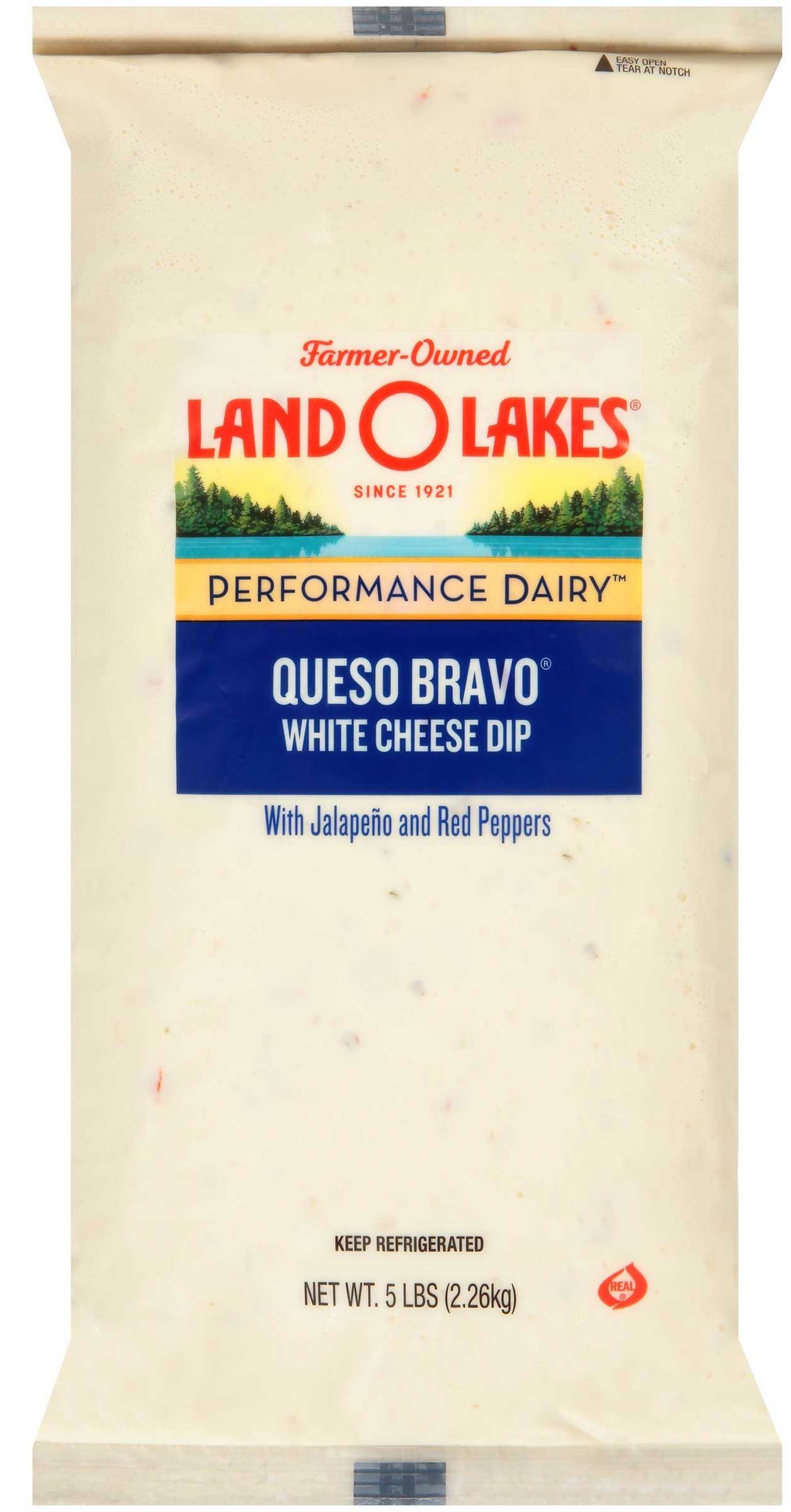 Land O Lakes Queso Bravo White Cheese Dip, 5 Pound -- 6 per case.