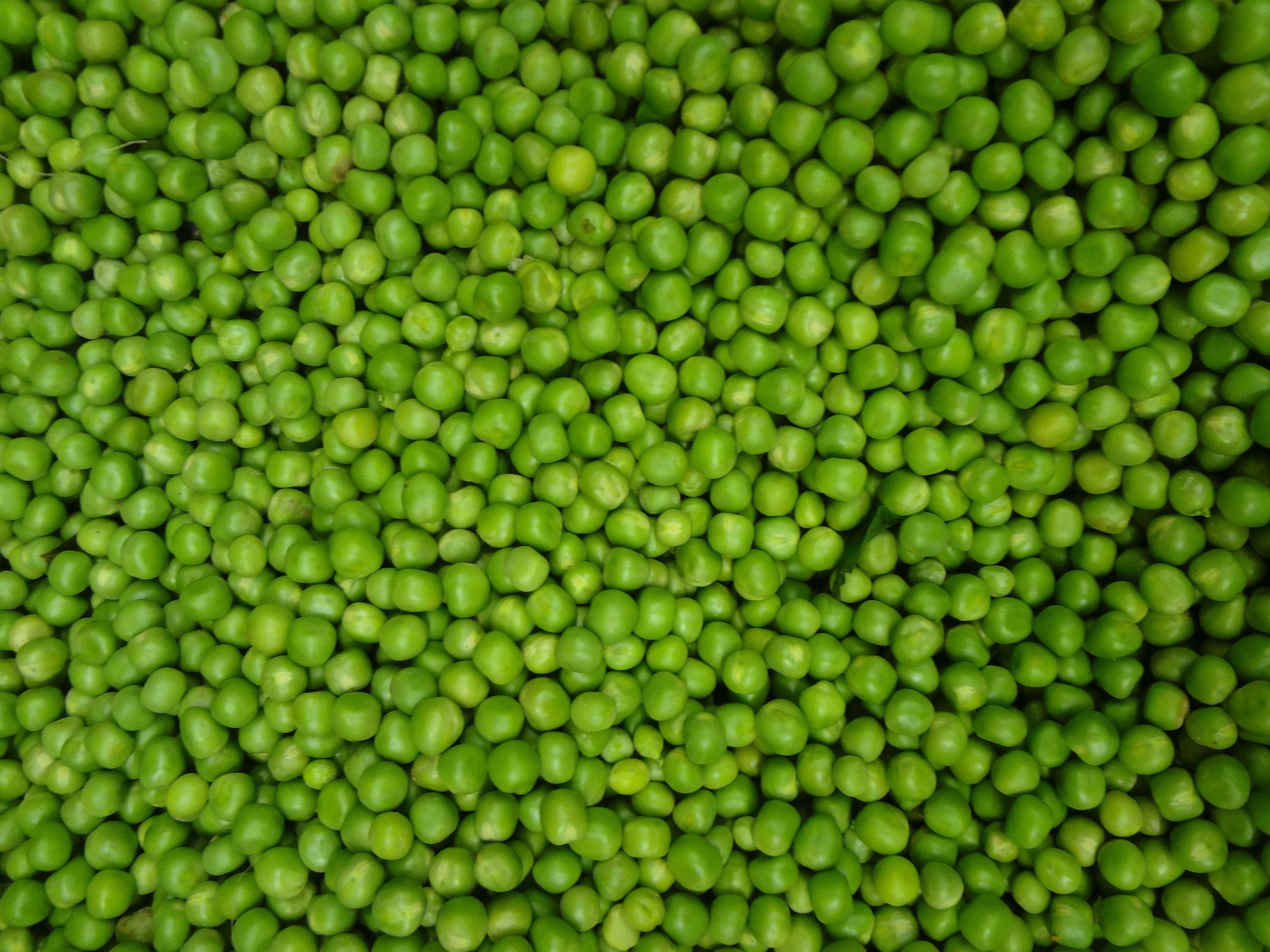 Commodity Canned Fruit and Vegetables 4 Sieve Sweet Fancy Peas, Number 10 Can -- 6 per case