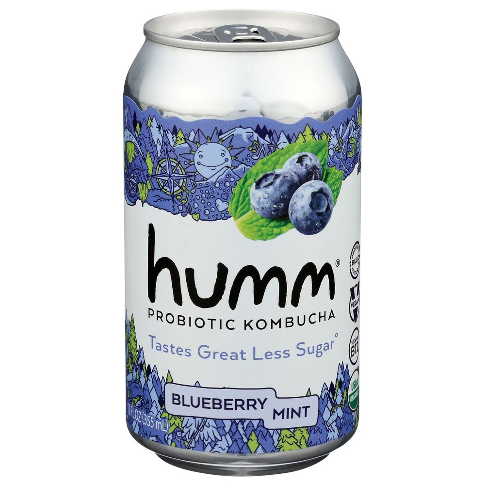 Humm Blueberry Mint Kombucha, 12 Fluid Ounce -- 6 per case
