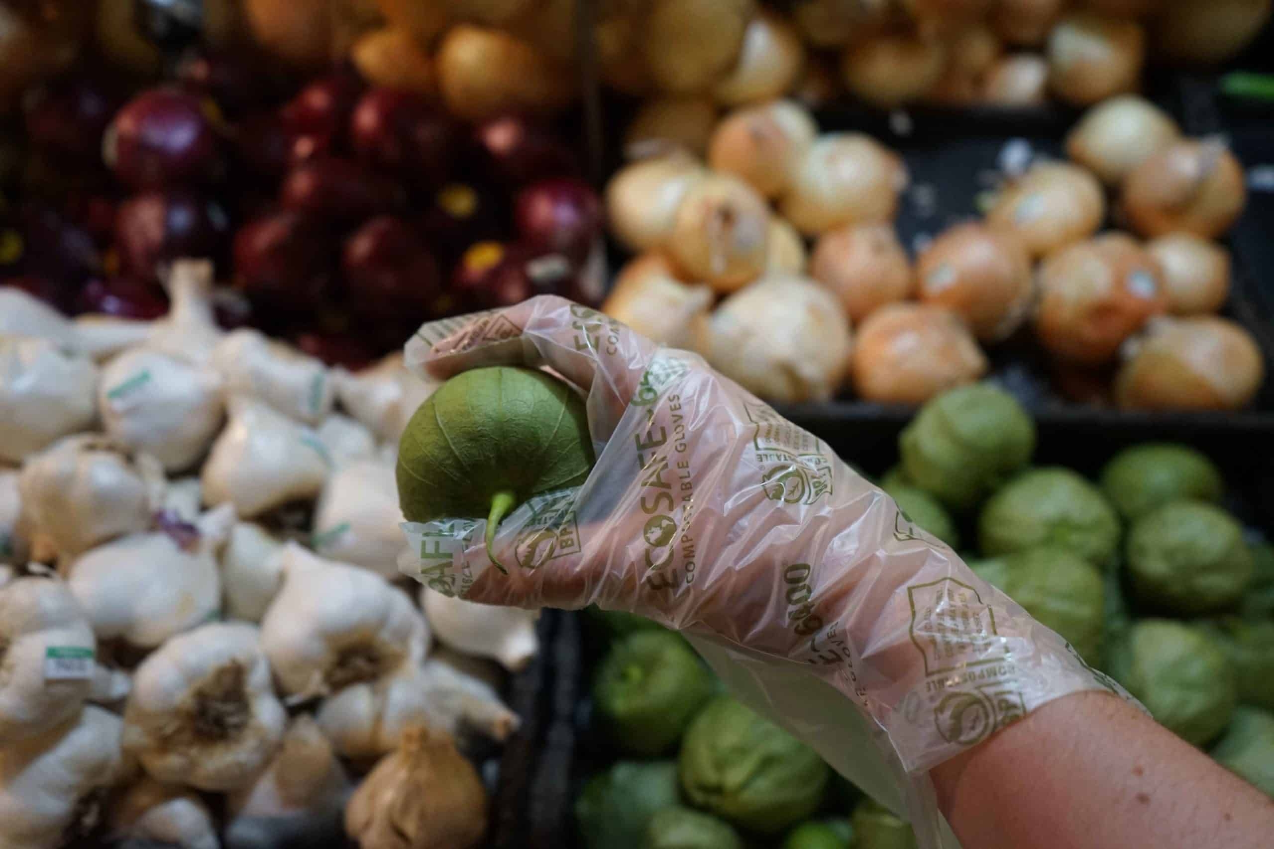 EcoSafe PLA 0.7 Mil Medium Green Food Prep Compostable Gloves -- 800 per case