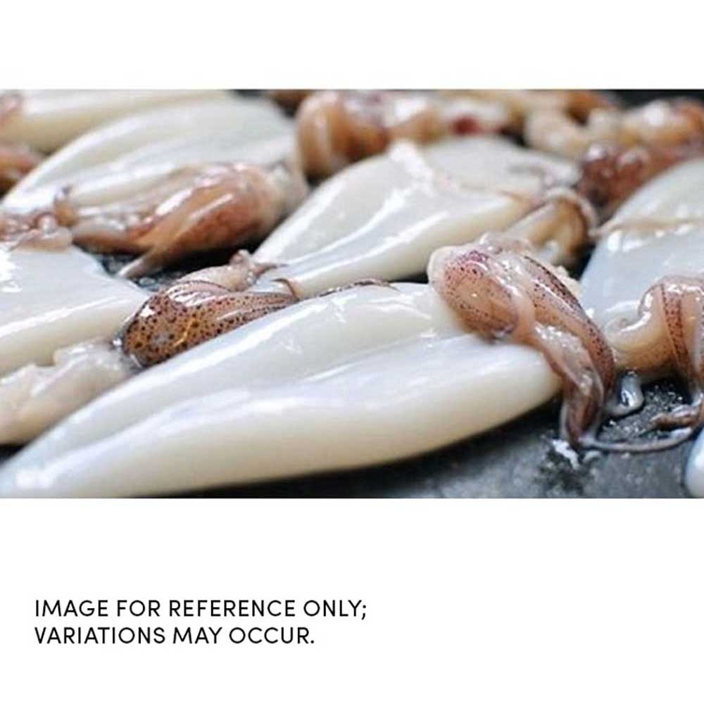 Frozen Seafood Qui Loligo Tubes and Tentacles, 2.5 Pound -- 20 per case.