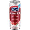 Ocean Spray Sparkling Cranberry Juice, 11.5 Fluid Ounce -- 24 per case