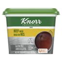 Single Knorr Professional 095 Beef Stock Base, 1 Pound