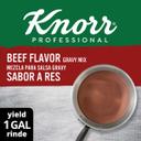 Single Knorr Professional Gluten Free Beef Gravy Mix, 12.66 Ounce