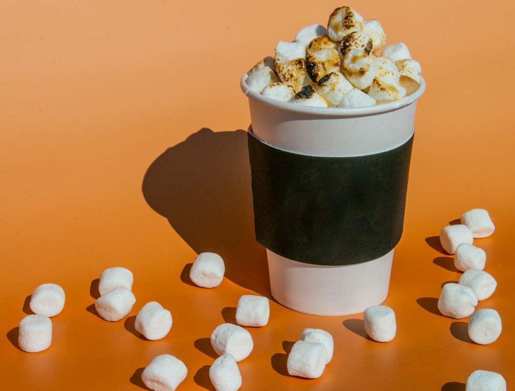 Product gallery 3561503