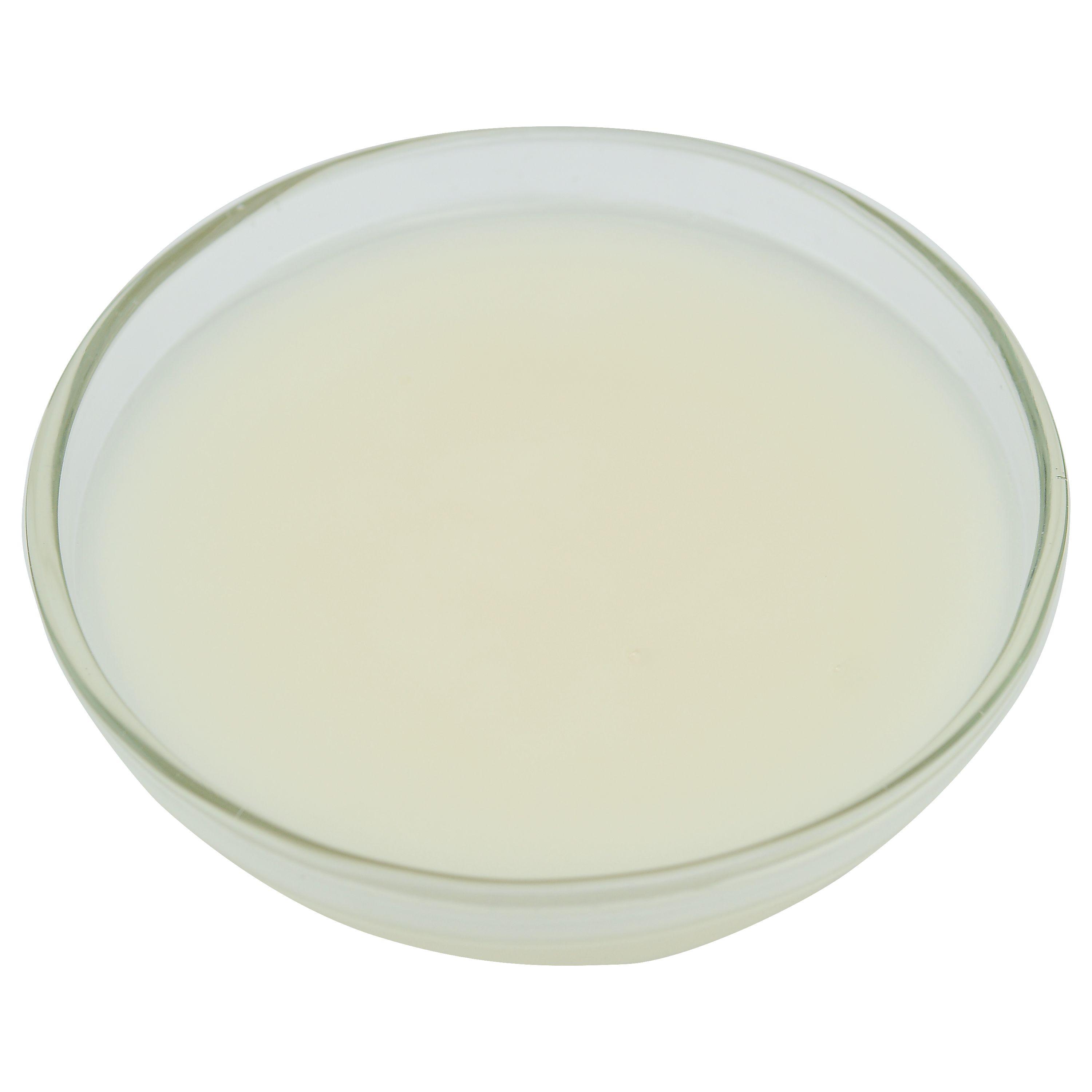 Product gallery 1454249