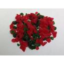 Parker Red and Green Mint Flakes, 30 Pound