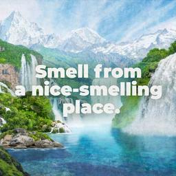 Product thumb gallery 3385903