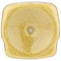 Product thumb gallery 4269853