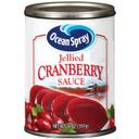 Ocean Spray Jellied Cranberry Sauce, 14 Ounce -- 24 per case.