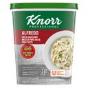 Single Knorr Professional Alfredo Pasta Sauce Mix, 1.33 Pound