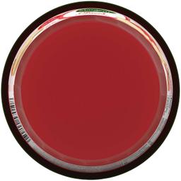 Product thumb gallery 2138784