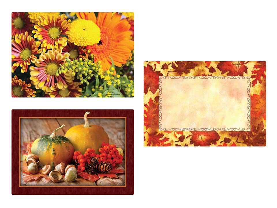 Product gallery 1620425