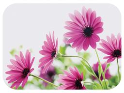 Product thumb gallery 1621175