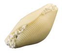 Conagra Angela Mia Large Trio Stuffed Pasta Shell -- 24 per case.