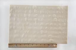 Product thumb gallery 1112280