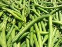 Commodity Canned Fruit and Vegetables Extra Standard 4 Sieve Green Bean, Number 10 Can -- 6 per case