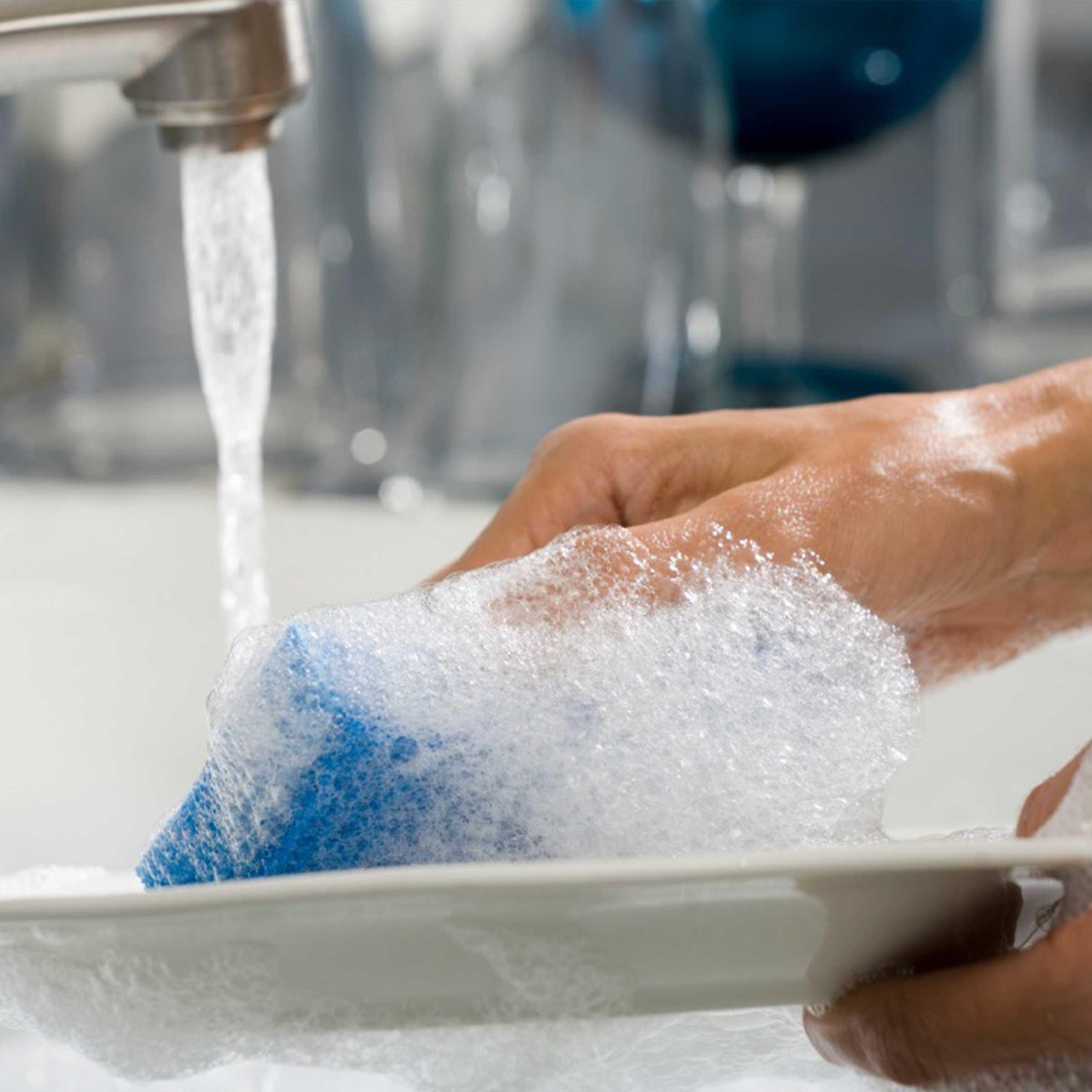 Product gallery 1442186