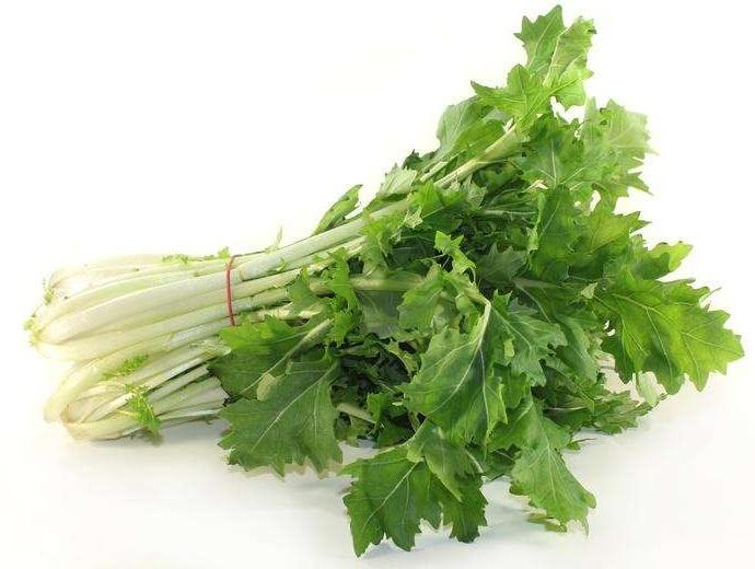 Product gallery 1737994