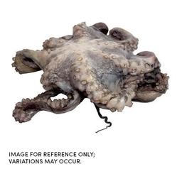 Product thumb gallery 4637095