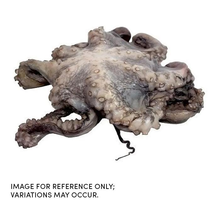 Product gallery 4637095