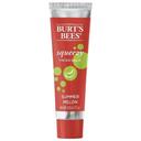Burts Bees Squeezy Wax Summer Melon Tinted Lip Balm, 0.43 Ounce -- 36 per case