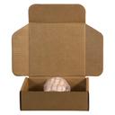 Daymark DuraMark DM4 2 Line Orange Date Coder Label - Saturday -- 8 rolls per case.