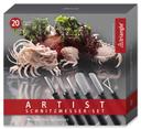 Triangle Stainless Steel Artist 20 Pieces Carving Tool Set