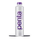 Penta Ultra-Purified Water, 1 Liter -- 12 per case