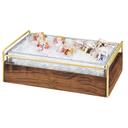 Cal-Mil Brass Mid Century Ice Housing with Clear Pan, 21.75 x 13.5 x 7.25 inch