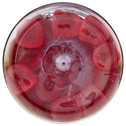 Product thumb gallery 4125519