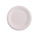 KITCH 24/7 White Compostable Molded Fiber Paper Plate, 6 inch -- 1000 per case