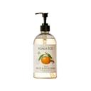 Koala Eco Natural Mandarin Fruit and Vegetable Wash, 16.9 Fluid Ounce -- 6 per case