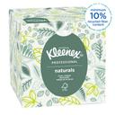 Kleenex White 2 Ply Paper Facial Tissue, 8.2 x 8.4 x 13.63 inch -- 36 per case