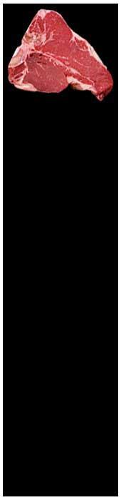 Product thumb gallery 2488984