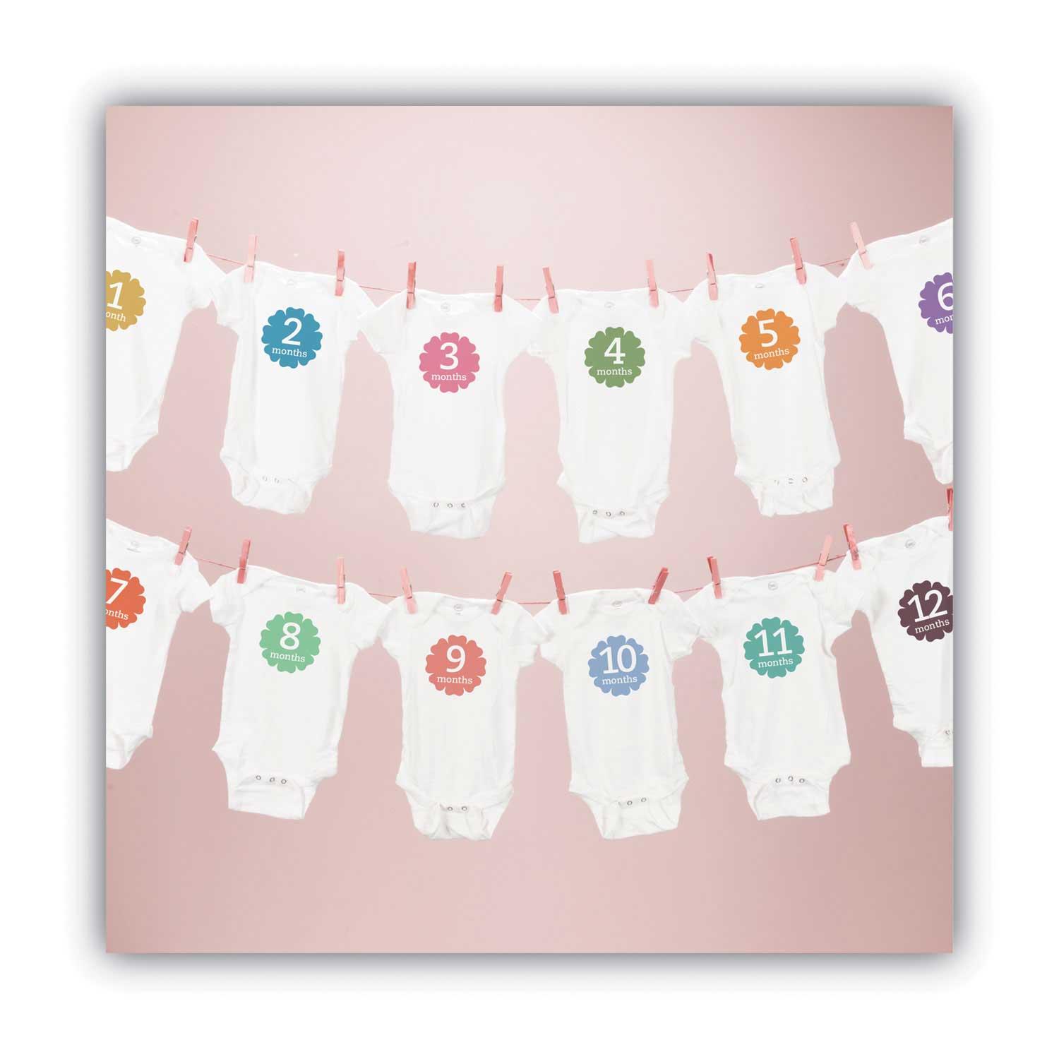 Product gallery 2629358