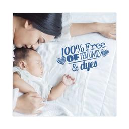 Product thumb gallery 2634980