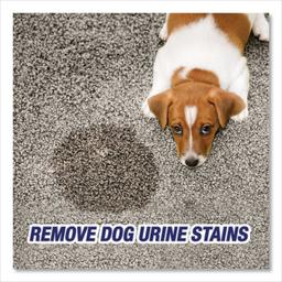 Product thumb gallery 2632397