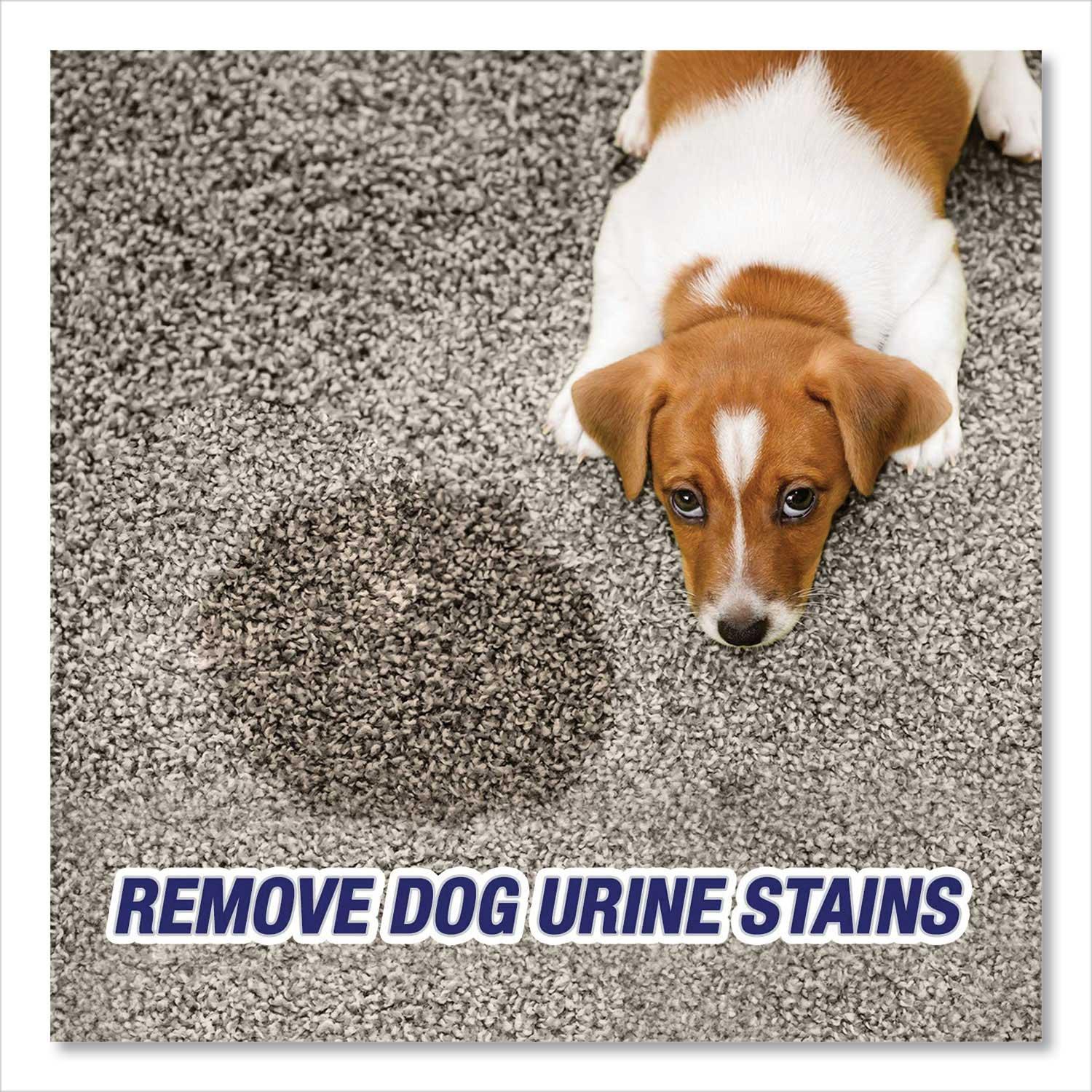 Product gallery 2632397