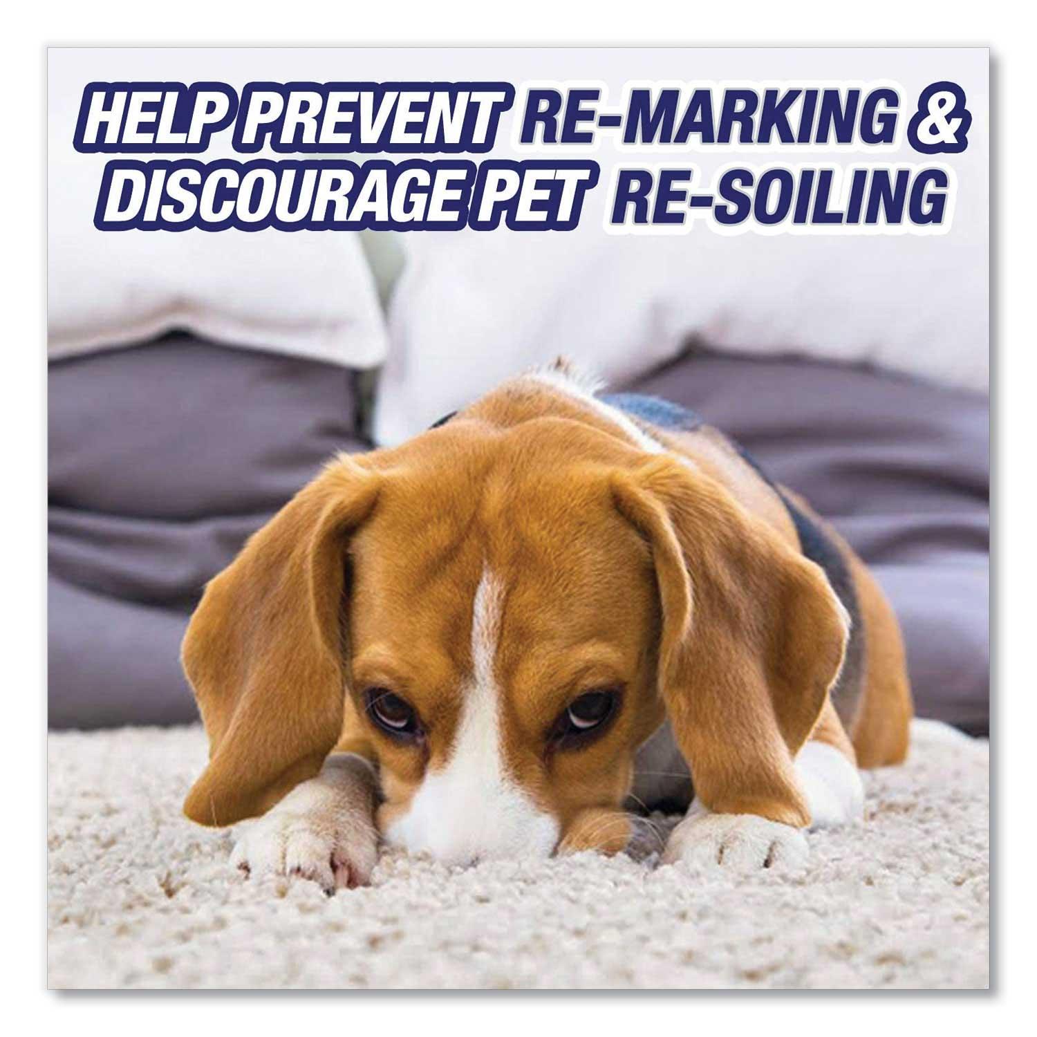 Product gallery 2632403