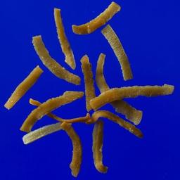 Product thumb gallery 583340491