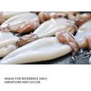 Frozen Seafood Qui Loligo Tubes and Tentacles, 2.5 Pound -- 20 per case.