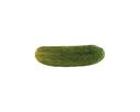 Bay Valley Foods 717 Kosher Whole Dill Pickle, 2 Gallon.
