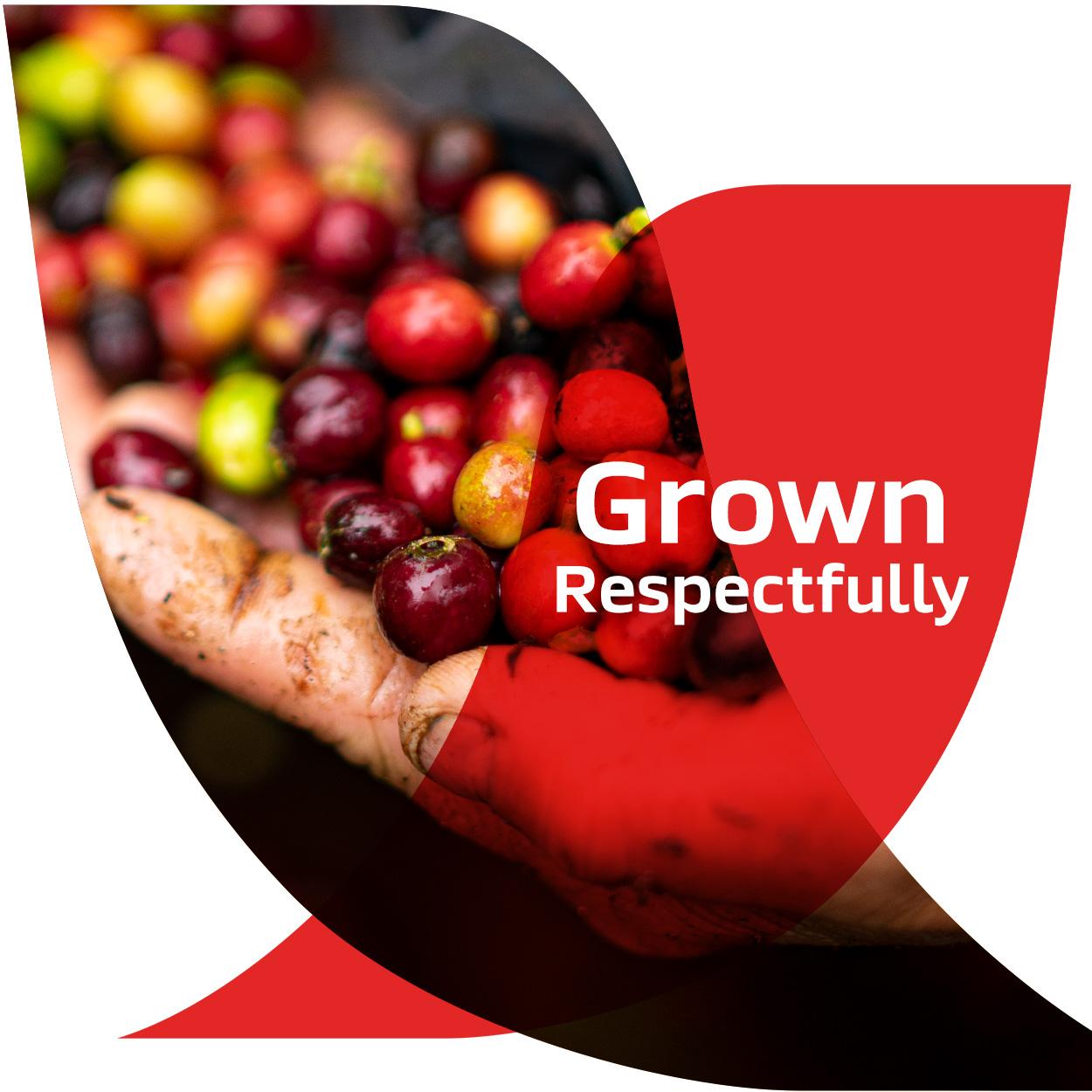 Product gallery 3080217