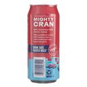 Ocean Spray The Original Cranberry Juice Cocktail, 16 Fluid Ounce - 12 per case