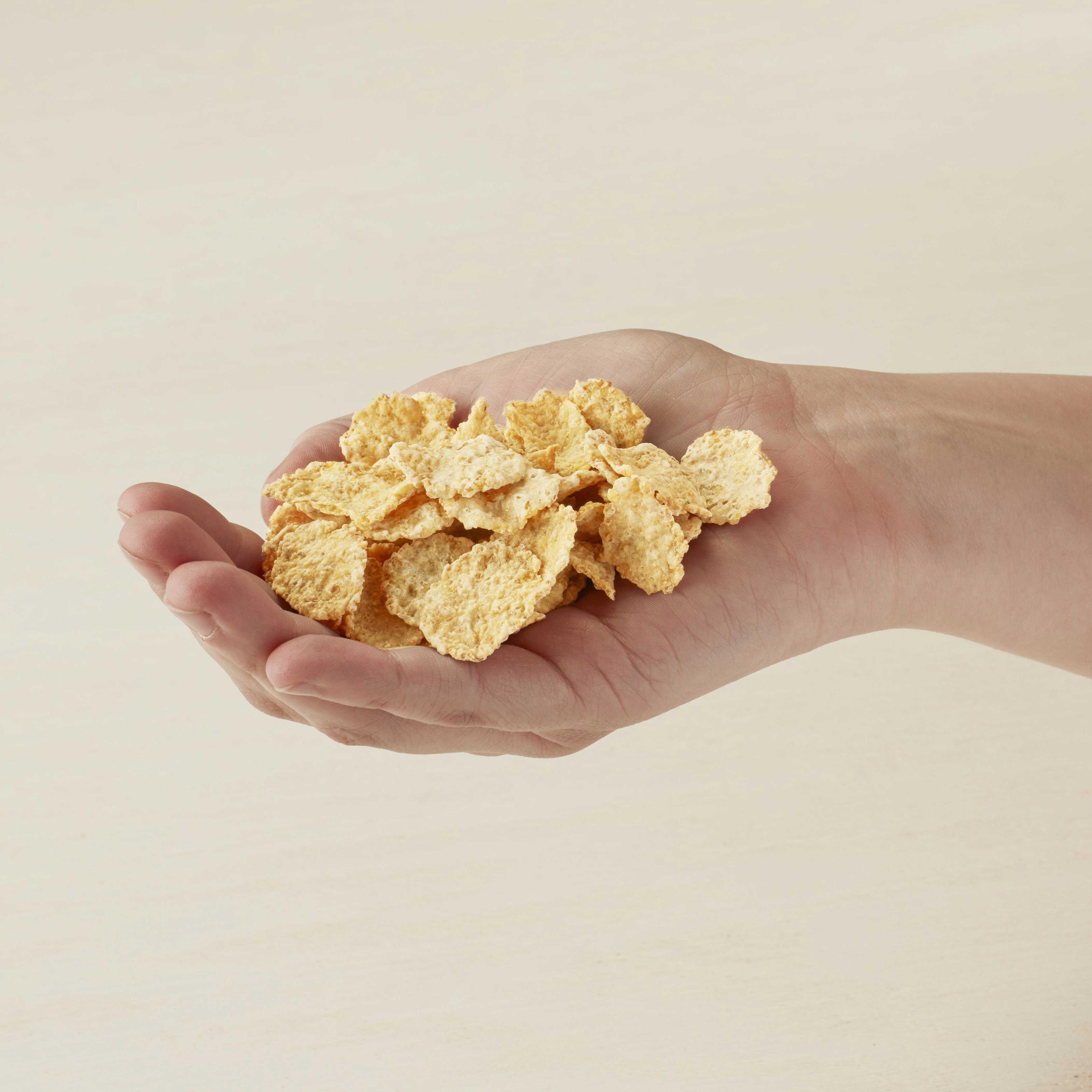 Product gallery 2242576